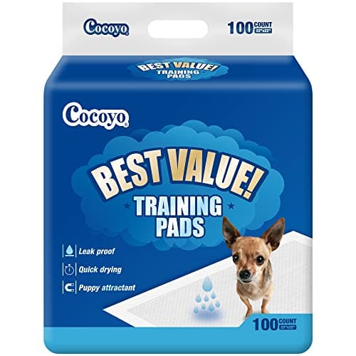 COCOYO Best Value Training Pads, 22" by 22", 100Count - Image 1