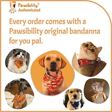 Pawsibility - Reinvented Pet Nail Clippers for Your Pal - USB Rechargeable LED Light for Bloodline | Razor Sharp and Durable Blade | Vets Recommended Trimming Tool for Dogs and Cats - Pink - Image 7