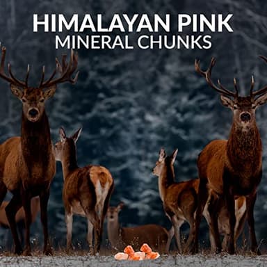 Himalayan Nature 100% Authentic Himalayan Pink Salt Chunks, 10 LBS, Animal Feed Salt Block, Plastic Bag of Salt Chunks for Deer, Horse & Animals, Pack of 1 - Image 6