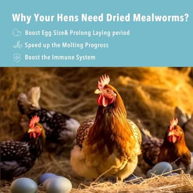 WormsFarm 5lb Dried Mealworms for Chickens Treats for Laying hens,Bluebirds,Quail,Chicken Food - Image 3
