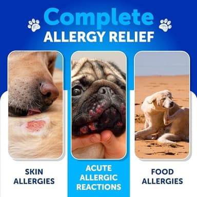 Dog Allergy Relief Chews - Itching Skin Relief for Dogs - Fish Oil - Omega 3 - Seasonal Allergies Pills - Skin & Coat, Anti Itch,Hot Spots Treatment - Canine Immune Health Supplement - 120 Soft Treats - Image 3