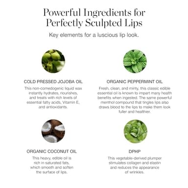 Ogee Tinted Sculpted Lip Oil - Lip Stain Made with 100% Organic Coconut Oil, Jojoba Oil, and Vitamin E - Best as Lip Balm, Lip Color or Lip Treatment - ROSALIA - Image 3