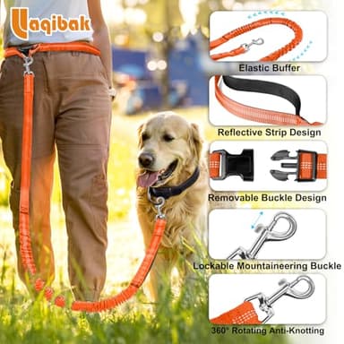 Laqibak Hands Free Dog Leash, Adjustable Waist Leash for Dog Walking, Dual Bungee 4.2-6.7 Feet Long with Reflective Stitches for Walking Hiking Running, Fits 26"- 43" Inch Waist, Orange - Image 6