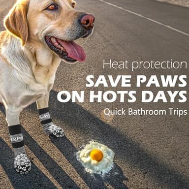 EXPAWLORER 6Pcs Anti-Slip Dog Socks to Prevent Licking Paws,Dog Shoes for Hot/Cold Pavement,Best Paw Protector Traction Control on Hardwood Floor,Dog Booties for Puppy Small Medium Large Senior Dogs - Image 4