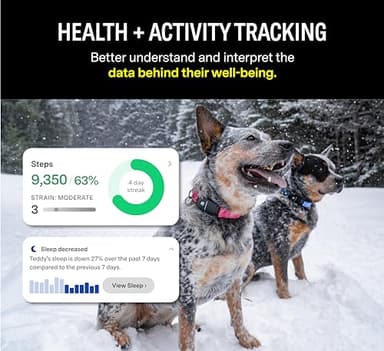 Fi Series 3 Smart Dog Collar - GPS Dog Tracker and Activity & Health Monitor, Waterproof, LED Light, Escape Alerts, Nationwide Coverage [Free 1 Year Membership] (Blue, Large) - Image 4