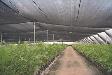 Agfabric 6.5 X 20ft 30% Sun Shade Sun Shade Fabric Sunblock Shade Cloth Cover with Clips for Plants, Black - Image 3