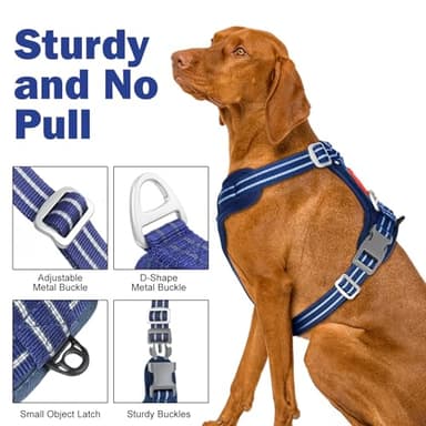 Tacwild No Pull Dog Harness - Adjustable Reflective Dog Vest with Metal Snap, Soft Breathable Mesh No Choke Puppy Harness, Easy to Put on & Take Off (Blue-XL) - Image 8