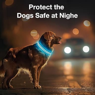 Light Up Dog Collar Rechargable,Reflective LED Collars for Small Medium Large Dogs,Lighted Dog Collars Lights for Night Walking-Waterproof,Black,S - Image 3
