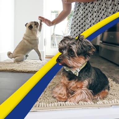 Muddy Mat® AS-SEEN-ON-TV Highly Absorbent Microfiber Door Mat and Pet Rug, Non Slip Thick Washable Area and Bath Mat Soft Chenille for Kitchen Bathroom Bedroom Indoor and Outdoor - Beige XXXL 72"X48" - Image 6