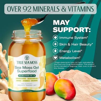 TrueSeaMoss Sea Moss Gel – Made in USA – 5-in-1 Formula – Wildcrafted Seamoss, Ashwagandha & Vegetables – Ashwagandha, Pack of 1 (Labels May Vary) - Image 2