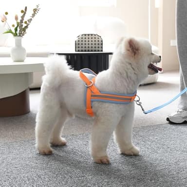 AIITLE Soft Padded Dog Vest Harness, No Pull Dog Harness with A Handle, Escape Proof/Quick Fit Reflective Dog Strap Harness, Easy for Training Walking Running for Small Dogs Orange-Blue XS - Image 8