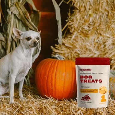 OH NORMAN! Single Ingredient Pumpkin Dog Treats by Kaley Cuoco, Healthy Dog Treats for All Life Stages and Breeds, Air Dried, Ethically Sourced in Canada, 6 Oz - Image 6
