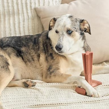 SPOT Bam-Bones Plus T Bone - Bamboo Fiber & Nylon Dog Chew Toy for Moderate to Aggressive Chewers, Non-Splintering, Long-Lasting, 7in Beef Flavor, for Adult Dogs & Teething Puppies Under 90lbs - Image 15