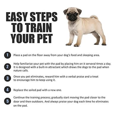 BV Puppy Pads Leak-Proof 100 Count 22"x 22" - Absorbent Pee Pads for Dogs with 6-Layer Design, Rapid Dry Sheet & Built-in Attractant - Dog Pad with Odor Control, Perfect for Puppies & Senior Dogs - Image 6