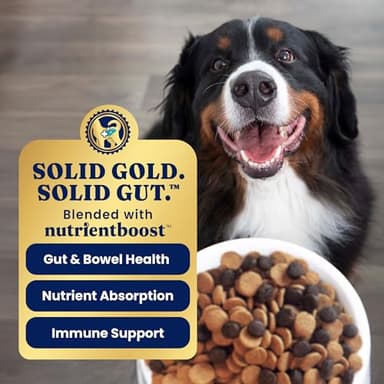 Solid Gold Salmon Dog Food for Sensitive Stomachs – Grain Free & Gluten Free Kibble w/Probiotics to Support Gut Health & Digestion - Sensitive Stomach Dog Food for All Ages – Nutrientboost™ – 22 LB - Image 4