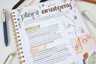 Zebra Pen Sarasa Clip Vintage and Mildliner Neutral Set, Ideal for Bible Highlighting, No Bleed, School Supplies and Teacher Supplies, Fine Point, Assorted Colors, 14-Pack (10114) - Image 3