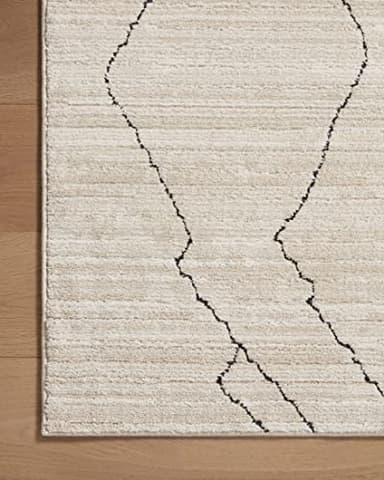 Loloi Darby Collection DAR-03 Sand/Charcoal 9'-2" x 13' Area Rug - Image 6