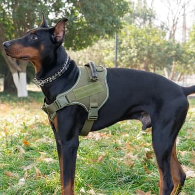 Bcadem Tactical Dog Harness,No Pull Military Pet Harness for Medium Large Dogs, Adjustable Service Dog Vest Harness with Night Reflective, Easy Control Handle for Walking, Hiking, Training (Green) - Image 7