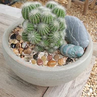 HappyFiller Decorative Natural Pebbles Polished Rocks Stones Mixed Color for Aquarium Gravel,Fish Turtle Tank,Outdoor Indoor Plants Top Dressing,Garden Landscaping,Home Vase Filler Decoration,2 LB - Image 7