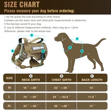 WINSEE Tactical Dog Harness for Medium Dog, Heavy Duty Service Working MOLLE Vest with 10 Pet Patches, 2X Metal Buckle Vest for Training Hunting Walking - Image 6