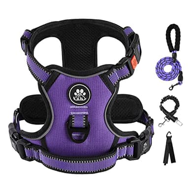 IVY&LANE No Pull Dog Harness for Large Dogs, Dog Vest Harness with Leash, Safety Belt and Storage Strap, Fully Adjustable Harness, 360° Reflective Strip, Soft Handle (Purple, L) - Image 1