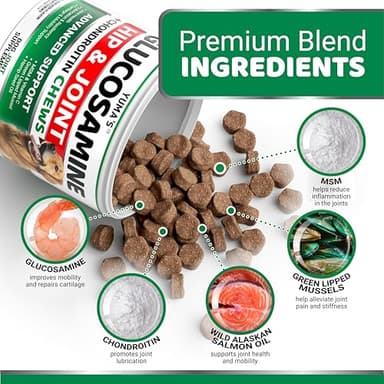 YUMA'S Glucosamine for Dogs - Hip and Joint Supplement for Dogs - 170 Ct - Glucosamine Chondroitin Chews - Joint Pain Relief Supplement with MSM - Advanced Health - Mobility Support - Made in USA - Image 3