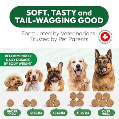 Petsology Glucosamine for Dogs - Hip and Joint Supplement for Dogs - 170 Mobility Chews - Glucosamine Chondroitin - MSM - Turmeric - Joint Pain Relief - Advanced Support for Dog Health - Made in USA - Image 7
