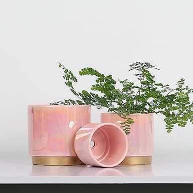 Gepege Pink Indoor Plant Pots for Plants, Ceramic Planter with Drainage Hole, 6.0 inch+5.0 Inch+4.0 Inch. Succulent Orchid Flower Pot - Rainbow Pearl Glaze - Image 7