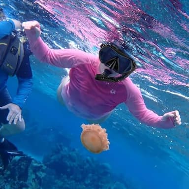 Snorkeling Gear for Adults, Dry-Top Snorkel Set Scuba Diving mask (Black+Pink) - Image 4