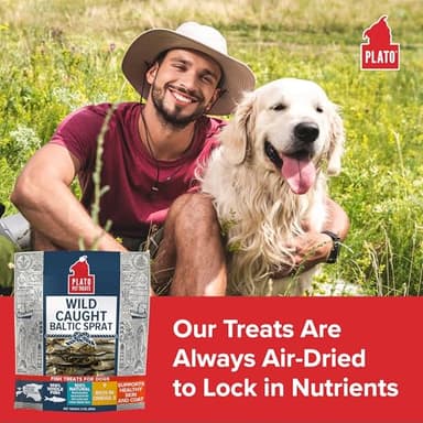 Plato Baltic Sprat 3oz - Image 3