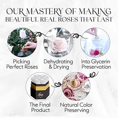 GLAMOUR BOUTIQUE Eternal Preserved Roses in a Box - Flowers Forever, Rose Forever in a Box for Wife, Birthday Gifts for Her, Single Rose, White - Image 8