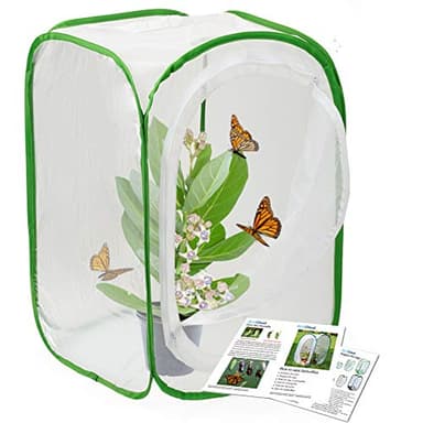 RESTCLOUD Insect and Butterfly Habitat Cage Terrarium Pop-up 24 Inches Tall with Zipper Protection - Image 1