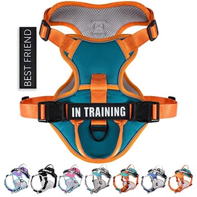 WENDISI Mint Green Large Dog Harness, Reflective Oxford Vest with No Pull & No Choke Dual Clips, Adjustable Soft Padded Harness with Easy Control Handle, for Dog Walking, Jogging, Hiking - Image 8