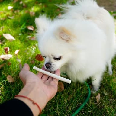 MON2SUN Dog Rawhide Twist Sticks Natural 5 Inch Thin Sticks Rawhide Chews Treats for Puppy and Small Dogs 120 Count - Image 6