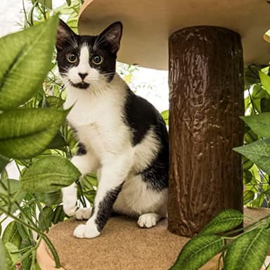 On2 Pets Cat Tree with Leaves Made in USA, Cat House & Cat Activity Tree, Multi-Level Cat Condo for Indoor Cats - Image 6
