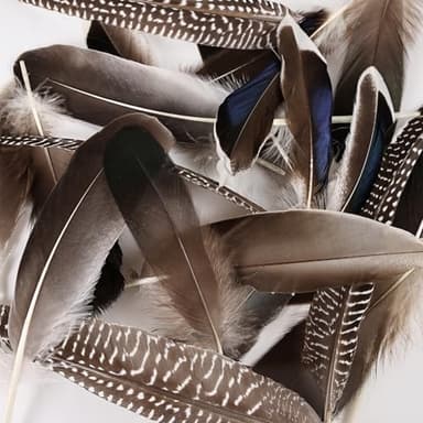 FeelfunFeather Pheasant Feathers -50pcs 5 Style Natural Mixed Decorative Spotted Feathers for DIY Crafts Wedding Home Party Decoration - Image 4