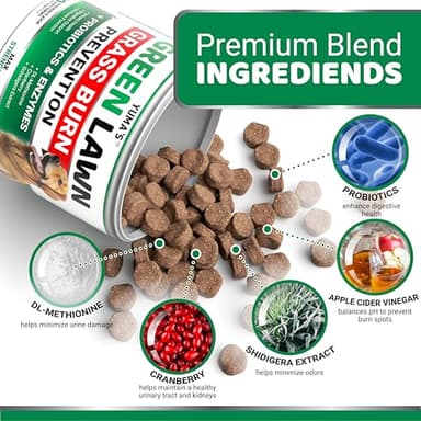YUMA'S Dog Urine Neutralizer for Lawn - 170 Chews - Advanced Grass Green Savers for Dog Urine - Canine Pee Grass Neutralizer Supplement - Green Lawn Treats with Probiotics and Digestive Enzymes - Image 4