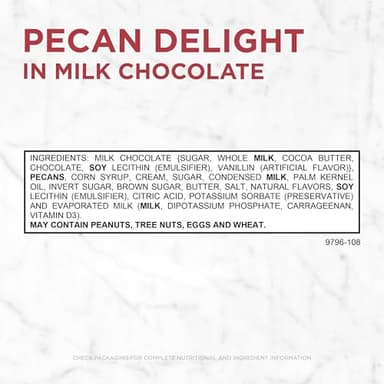 Russell Stover Pecan Delight Gusset Bag 16.10 Ounce Russel Stover Milk Chocolate Covered Candy Pack, Crunchy Pecans and Buttery Caramel Covered In Sweet Milk Chocolate Candy, Individually Wrapped - Image 3