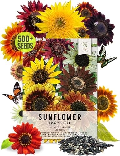 Seed Needs Sunflower Seeds to Plant The Original Crazy Blend | 500+ Heirloom Seeds 15+ Varieties Open Pollinated & Untreated | Resealable Bulk Package Multicolored Blooms Flower Seed - Image 1