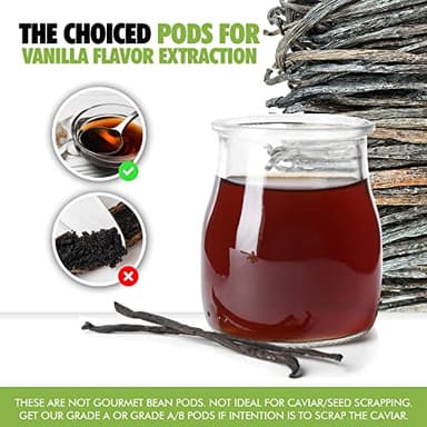 26 Organic Madagascar Vanilla Beans Extract Exclusive Grade B| 4.5" - 5.5" by FITNCLEAN VANILLA| Certified USDA Organic. Bulk Dry Whole Bourbon NON-GMO Pods - Image 2