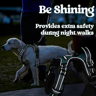 rabbitgoo Dog Harness Medium Sized, No Pull Pet Harness with 3 Buckles, Adjustable Soft Padded Vest with Control Handle, Walking Reflective Pet Vest for Medium Dogs, Blue Coral, M - Image 9