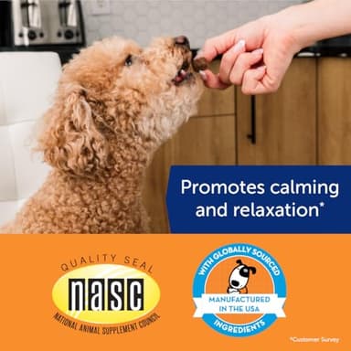 ThunderWunders Hemp Dog Calming Chews | Vet Recommended for Situational Anxiety | Fireworks, Thunderstorms, Travel & More | Made with Hemp Seed, Thiamine, L-Tryptophan, Melatonin & Ginger (60 Count) - Image 3