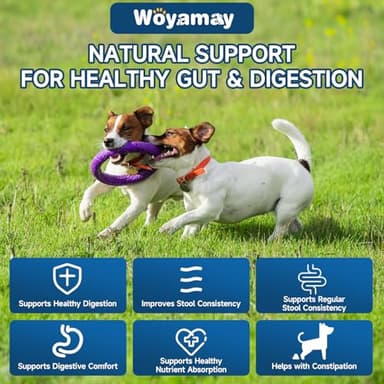 Woyamay Dog Probiotic for Dogs, 200 Soft Treats Dog Probiotics for Digestive Health & Immune System, Probiotic Chews for Dogs, Support Gut Health|Itchy Skin|Diarrhea|Gas Relief Treatment - Image 3