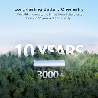 EF ECOFLOW DELTA 2 Max Power Station Extra Battery, 2048Wh LiFePO4 (LFP) Battery, Compatible with DELTA 2&DELTA Max 2000&DELTA 2 Max Outdoor Generators - Image 3