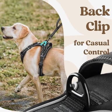 rabbitgoo Dog Harness Medium Sized, No Pull Pet Harness with 3 Buckles, Adjustable Soft Padded Vest with Control Handle, Walking Reflective Pet Vest for Medium Dogs, Black, M - Image 6