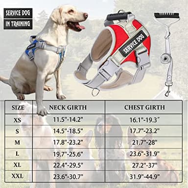 Dogmify Service Dog Vest,No Pull in Training Service Dog Harness and 5FT Dog Leash Set, Adjustable 3M Reflective Nylon Pet Dog Vest with Handle,Easy Control for Small Medium Large Dogs(L,Red) - Image 6