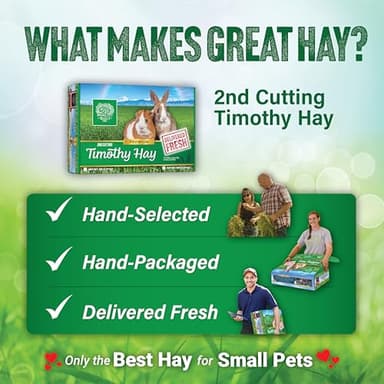 Small Pet Select 2nd Cutting Perfect Blend Timothy Hay Pet Food for Rabbits, Guinea Pigs, Chinchillas and Other Small Animals, Premium Natural Hay Grown in The US, 12 LB - Image 6