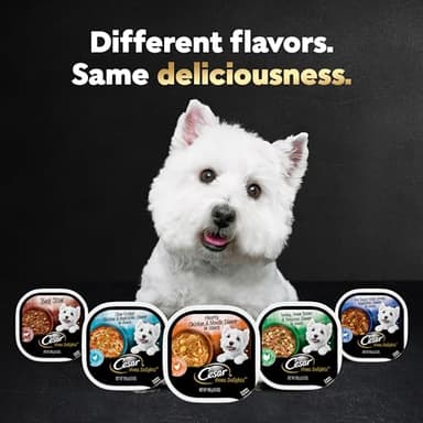 Cesar Wet Dog Food Classic Loaf in Sauce, Steak and Chicken Lovers Variety Pack with Real Meat or Real Chicken, 3.5 oz. Easy Peel Trays (36 Count, Pack of 1) - Image 10