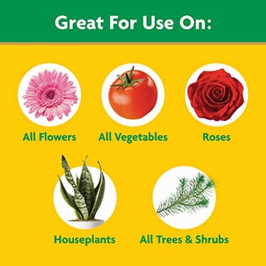 Miracle-Gro Water Soluble All Purpose Plant Food, Fertilizer for Indoor or Outdoor Flowers, Vegetables or Trees, 3 lbs. - Image 4