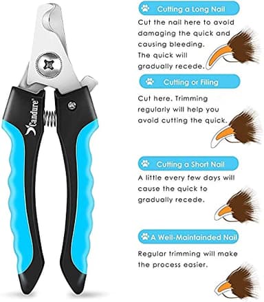 Candure Dog Nail Clippers and Trimmer with Safety Guard to Avoid Over-Cutting Toe Nails Professional Grooming Pet Nail Clipper with Nail File for Small Medium-Large Breeds - Image 6